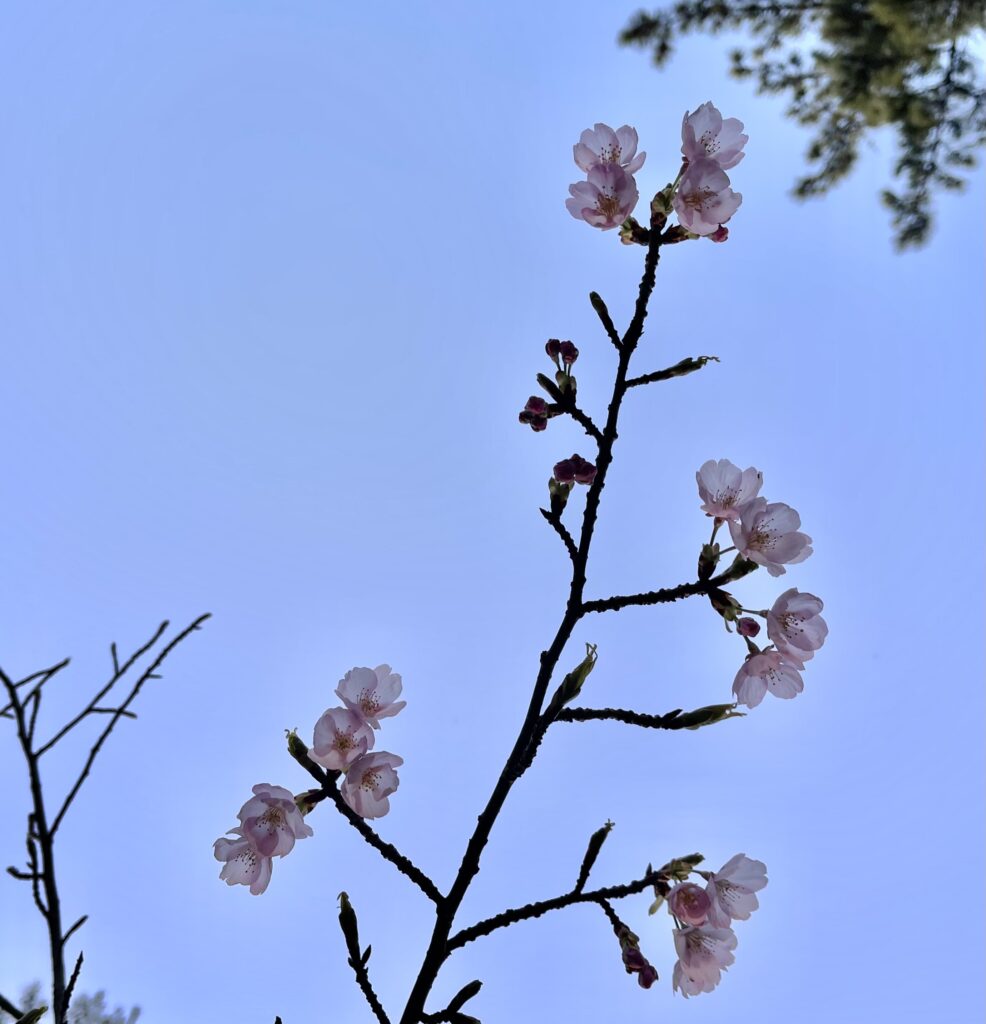 さあ！新学期の始まりです！！